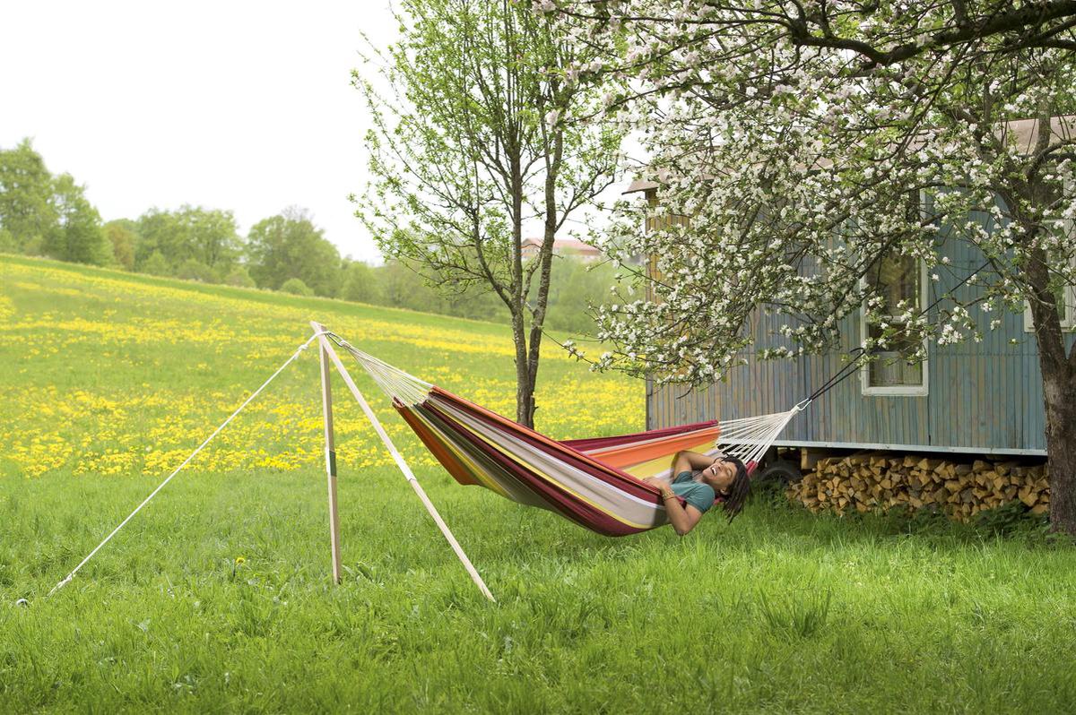 Amazonas Barbados Acerola - Rood