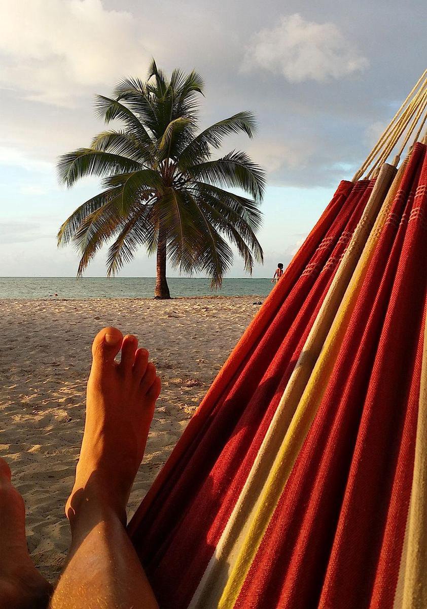 Amazonas Barbados Acerola - Rood