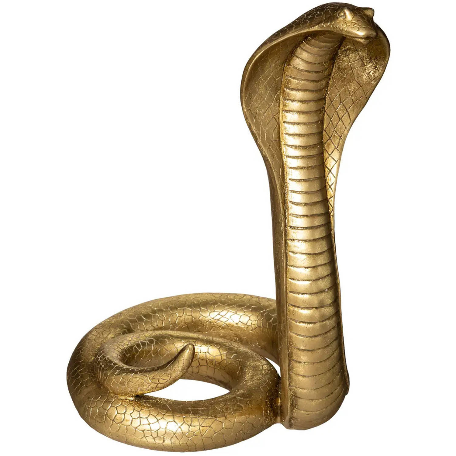 Home decoratie dieren/slangen beeldje Cobra - goud kleurig - 36 x 25 cm - Beeldjes