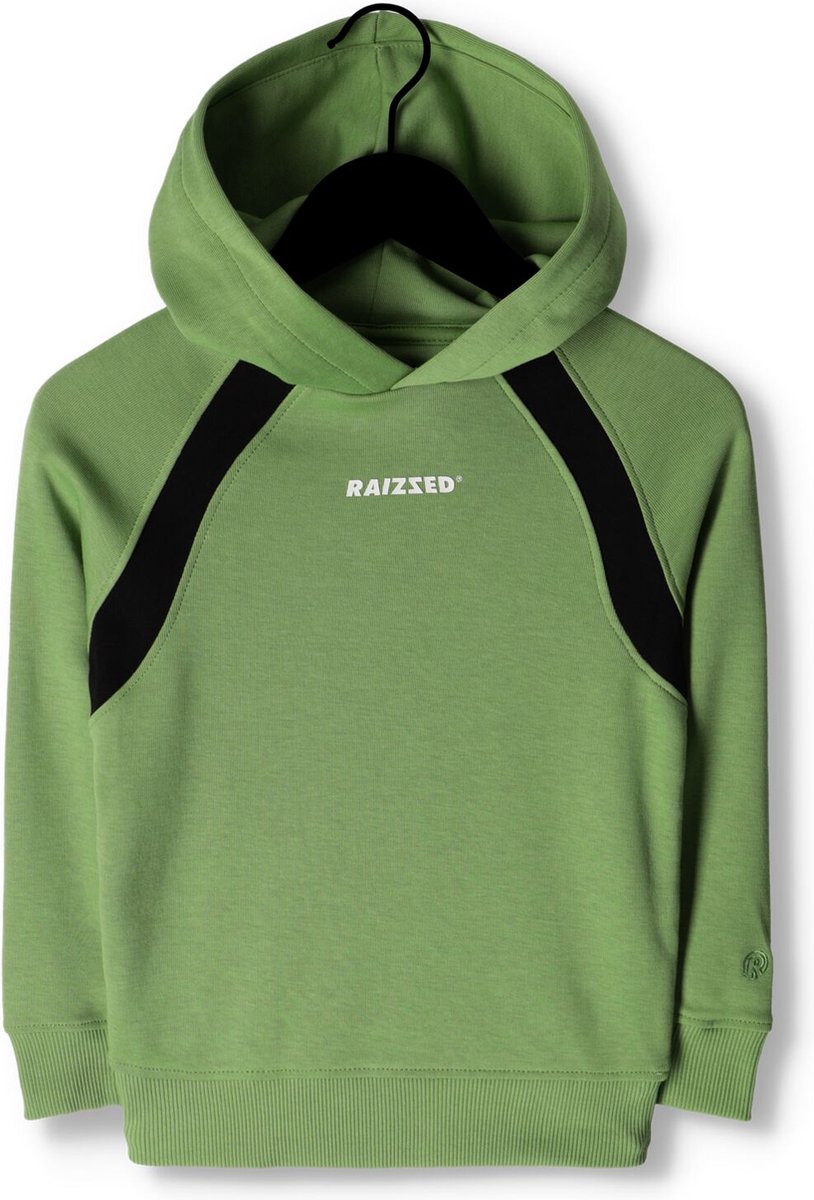 Raizzed Sweater - Groen