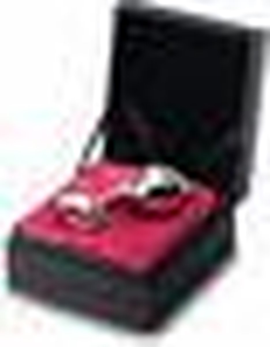 Njoy Pure Plug Large - Silver