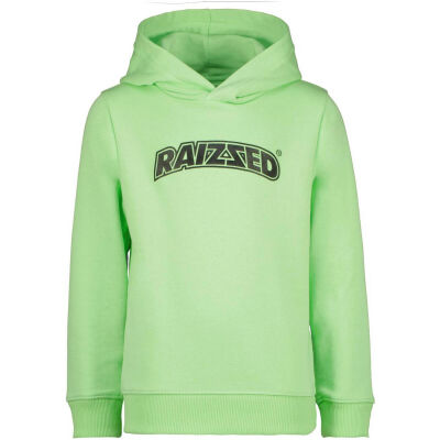 Raizzed Sweater - Groen