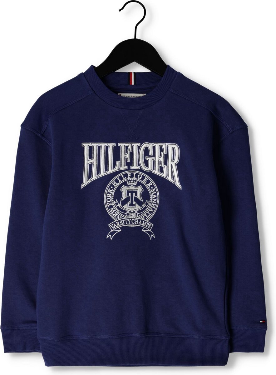 Tommy Hilfiger Sweater - Blauw