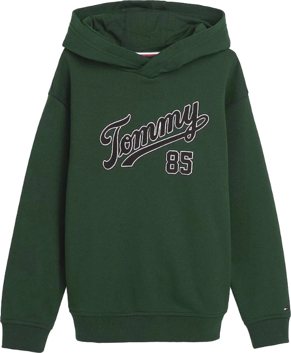 Tommy Hilfiger Sweater - Groen