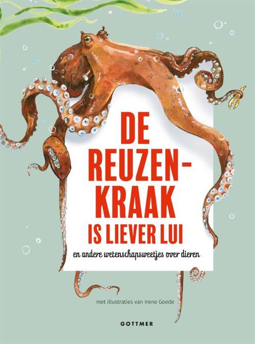 De reuzenkraak is liever lui