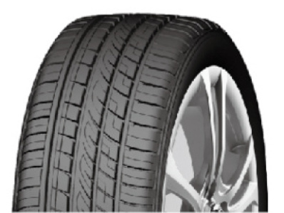 Fortune FSR-303 ( 285/35 R21 105Y XL ) - Zwart