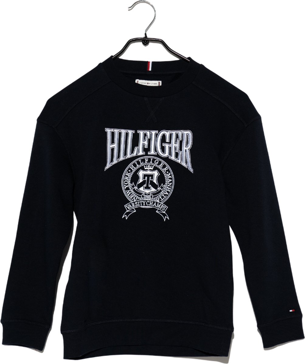 Tommy Hilfiger Sweater - Blauw