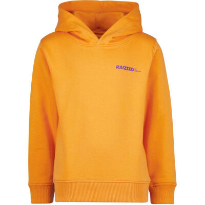 Raizzed Sweater - Oranje