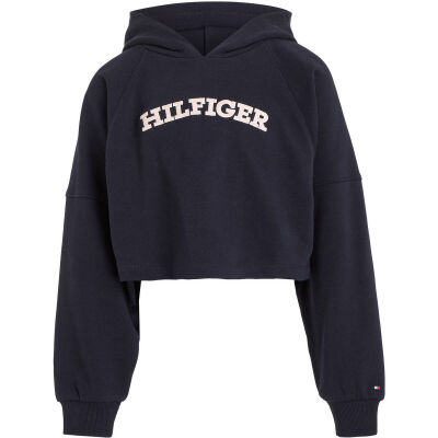 Tommy Hilfiger Sweater - Blauw