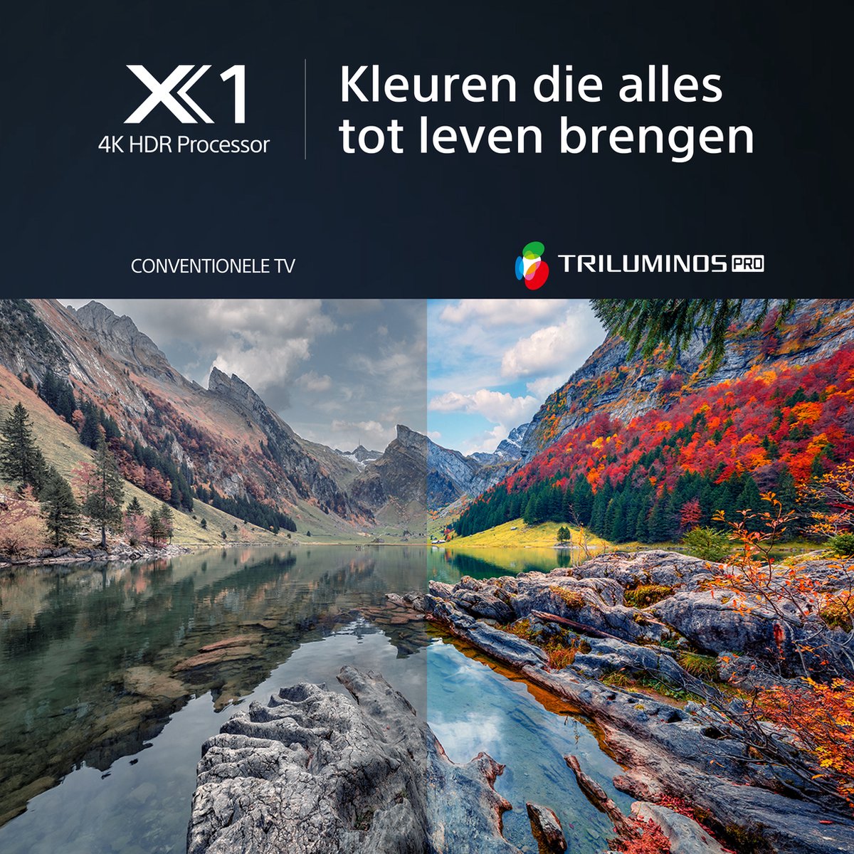 Sony Bravia KD-65X80L 4K TV (2023) - Zwart