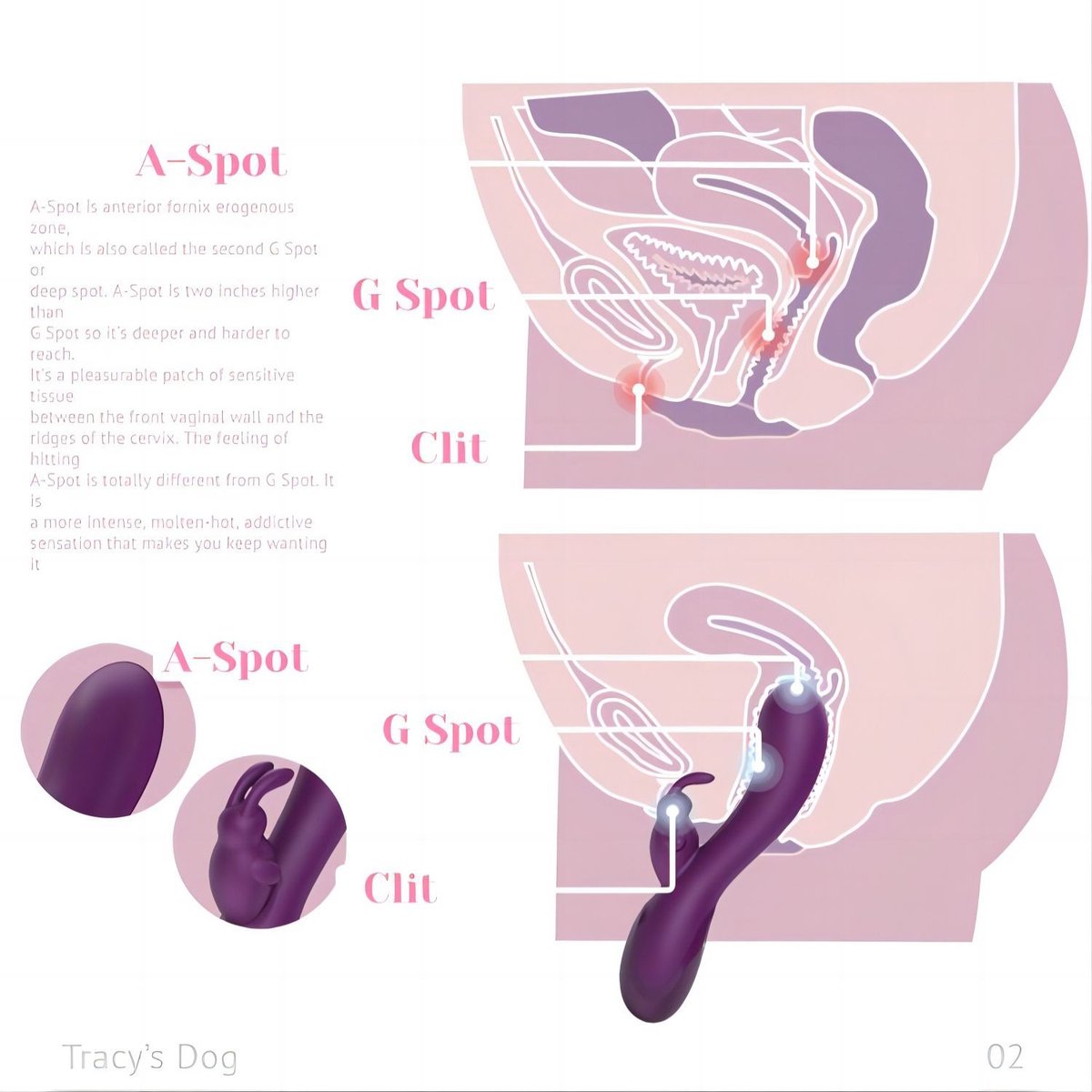 Tracy's Dog - Craybit Rabbit Vibrator - Paars