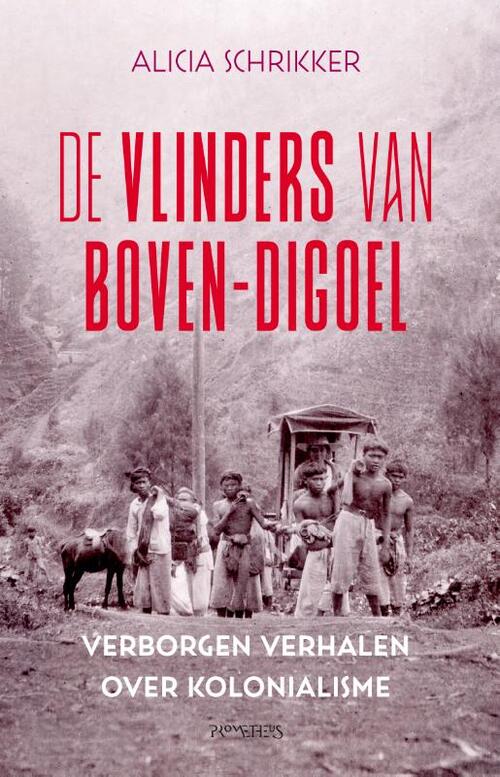 De vlinders van Boven-Digoel