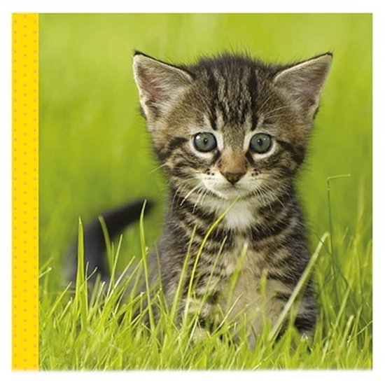 Top1Toys Snoezige dieren knisperboekje / Livre frou-frou adorables animaux