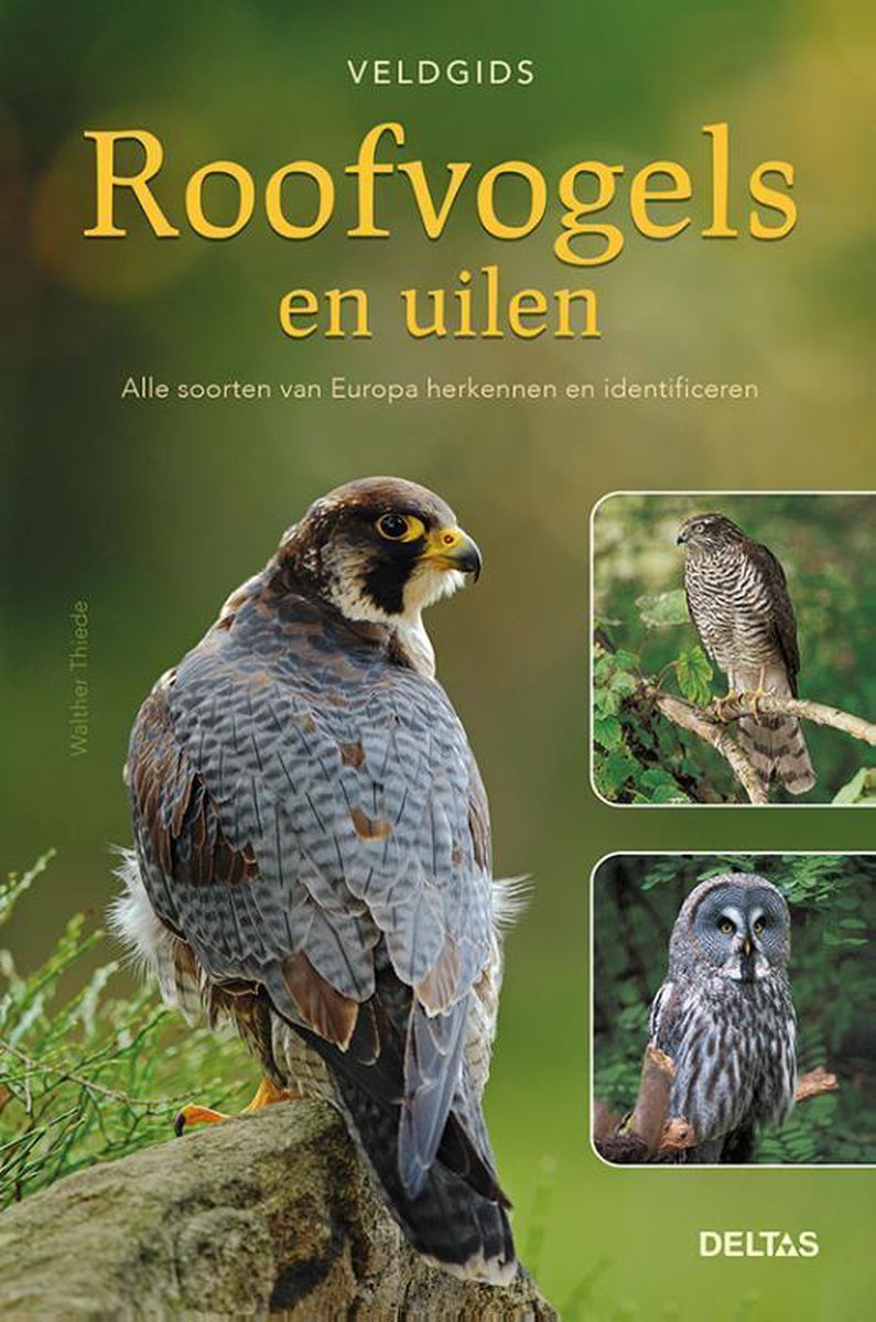 Roofvogels en uilen