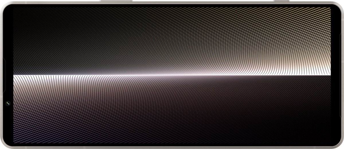 Sony Xperia 1 V 256GB Platinum Silver