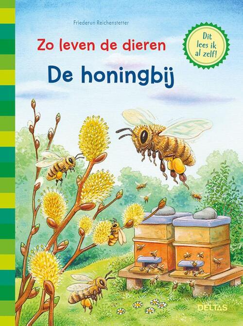 Zo leven de dieren-De honingbij