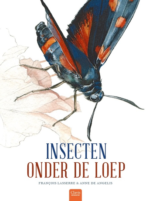 Clavis Uitgeverij Insecten onder de loep