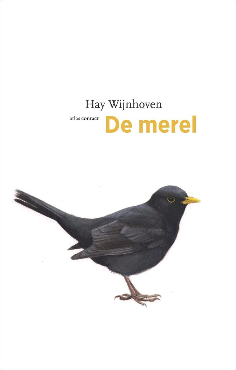 De merel