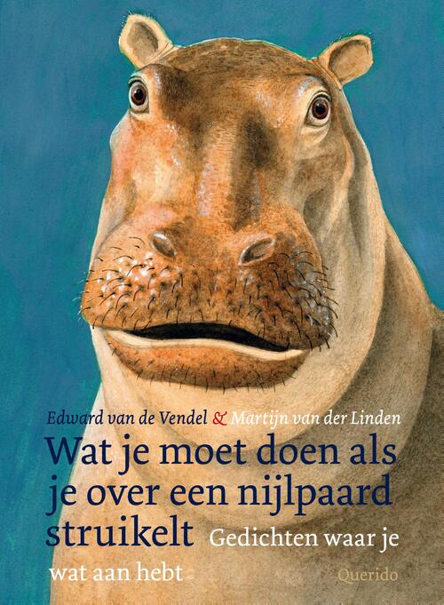 Querido Wat je moet doen als je over een nijlpaard struikelt