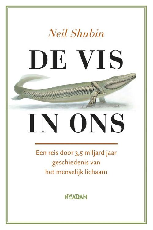 Nieuw Amsterdam De vis in ons