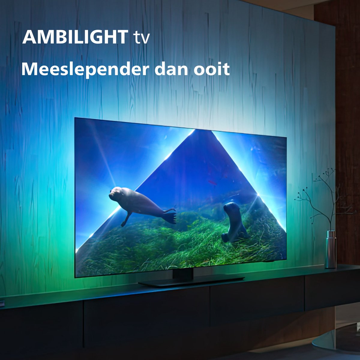 Philips Ambilight 65OLED848/12 OLED 4K TV (2023)