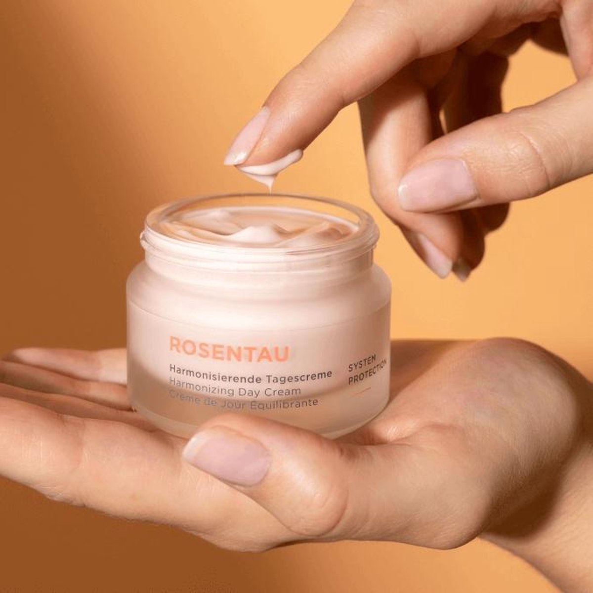 Annemarie Börlind ROSENTAU Harmonizing Day Cream 50 ml