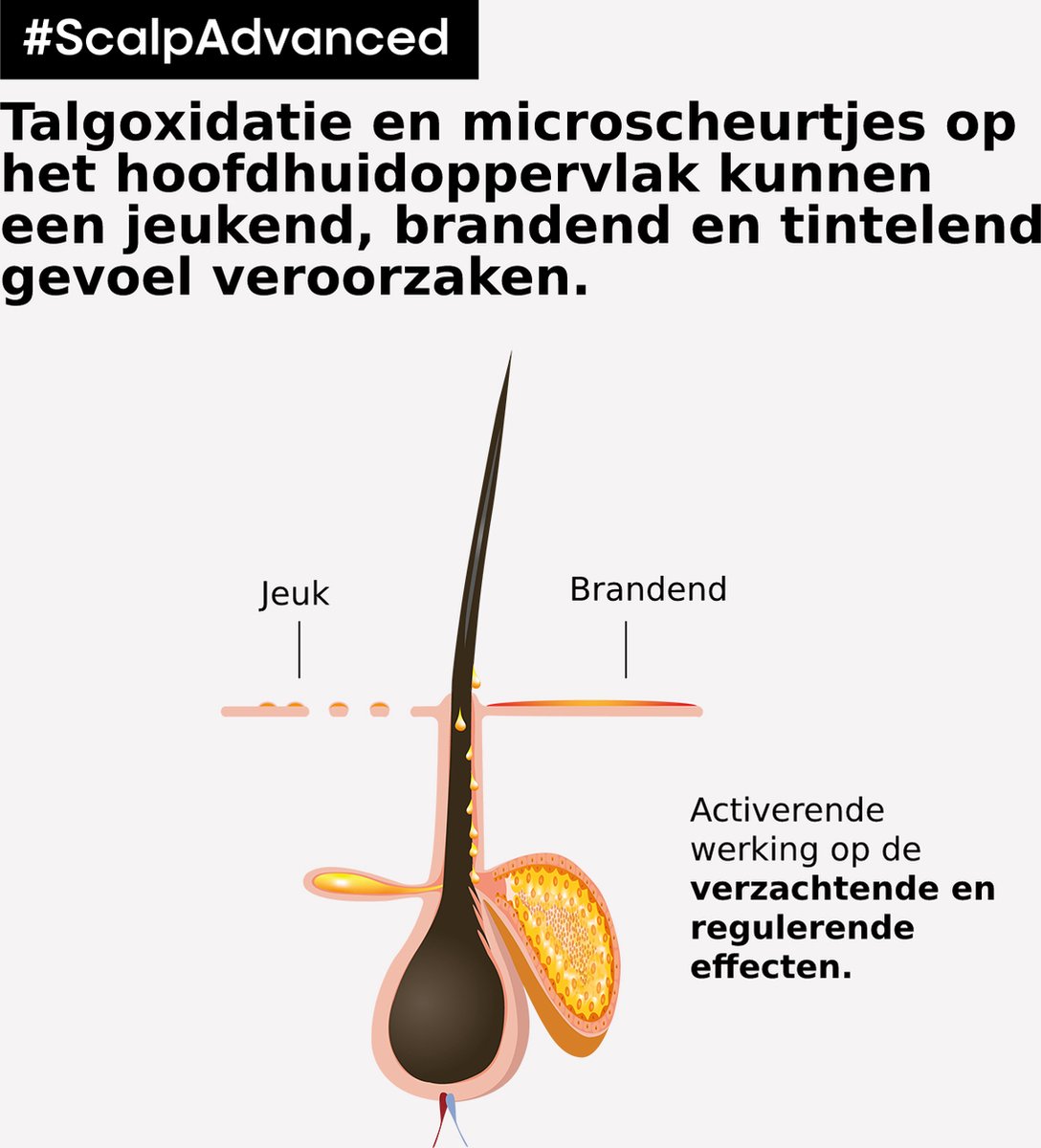 L'Oreal Paris L'Oréal Professionnel Scalp Advanced Serie Expert Professional Tr