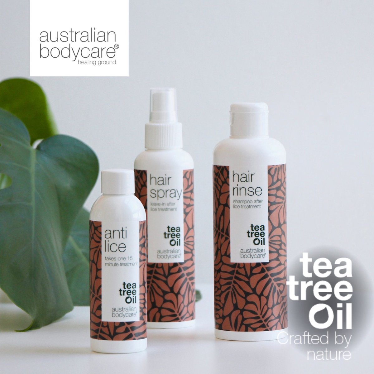 Australian Bodycare Head Lice kit - 3 piece lice treatment kit