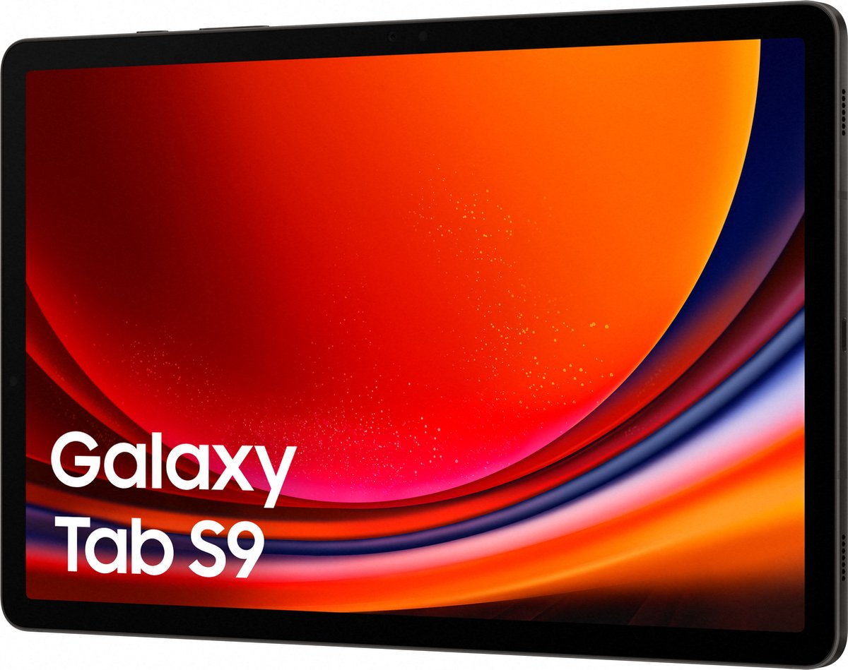 Samsung Galaxy Tab S9 - 128 GB - Grafiet - Grijs