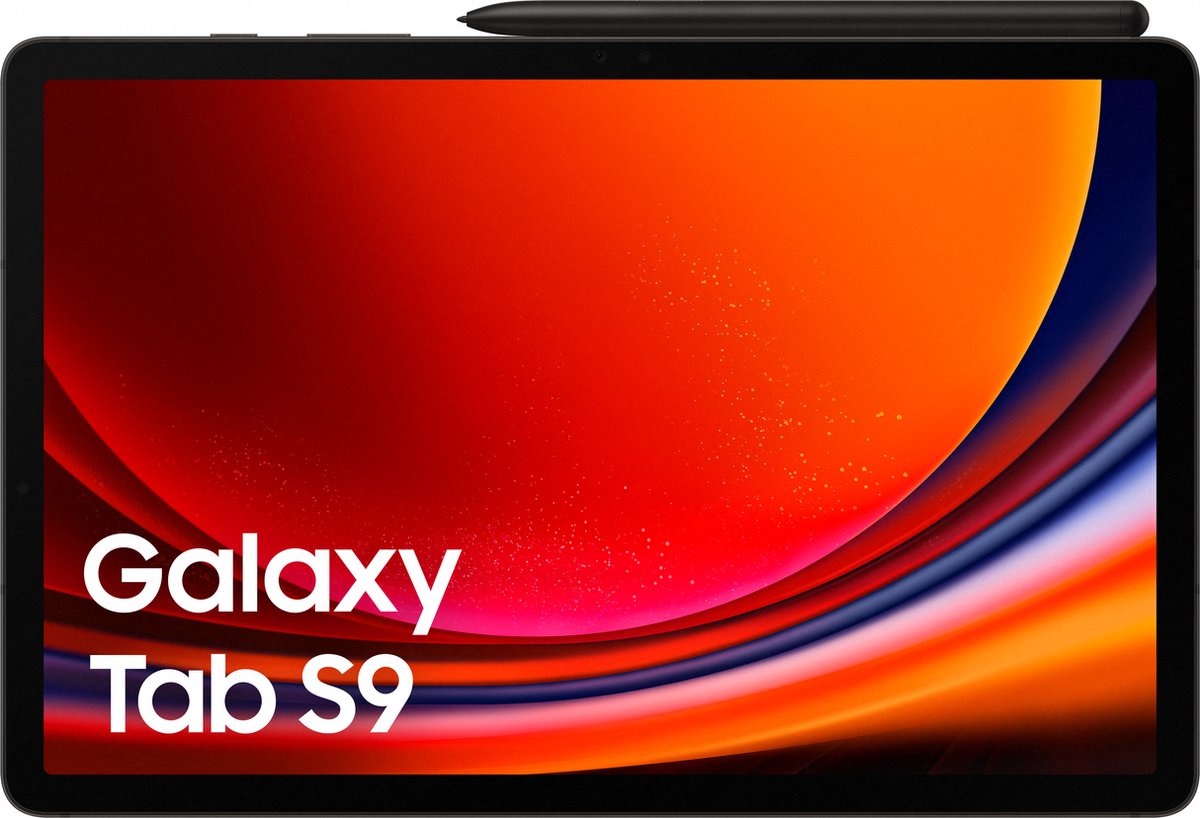 Samsung Galaxy Tab S9 - 128 GB - Grafiet - Grijs