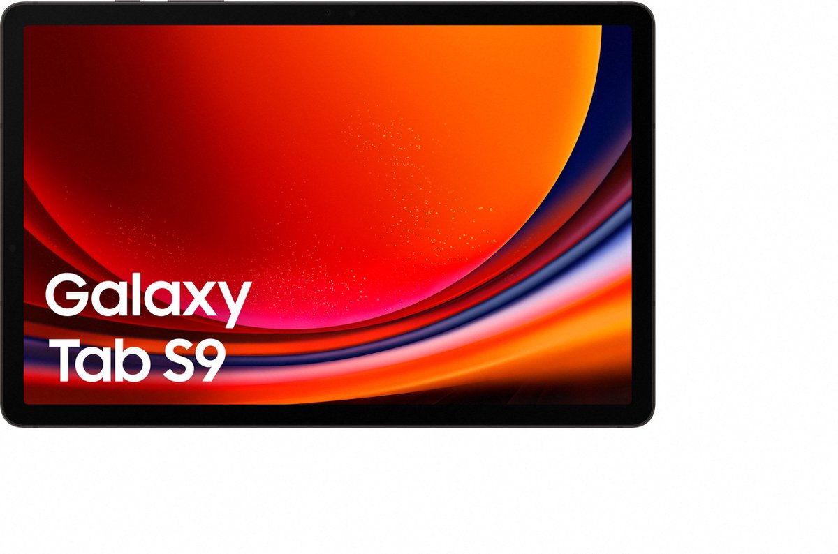 Samsung Galaxy Tab S9 - 128 GB - Grafiet - Grijs