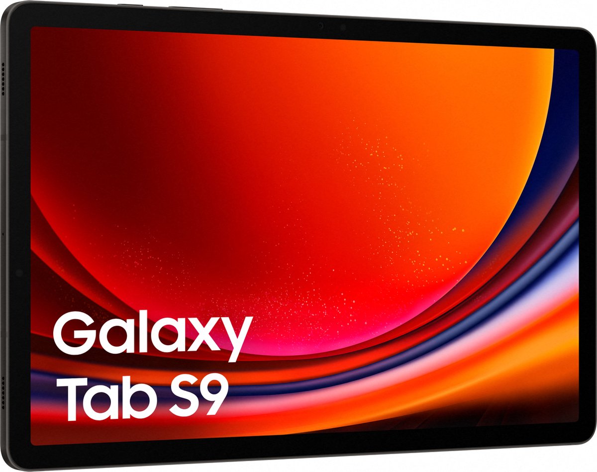 Samsung Galaxy Tab S9 - 128 GB - Grafiet - Grijs