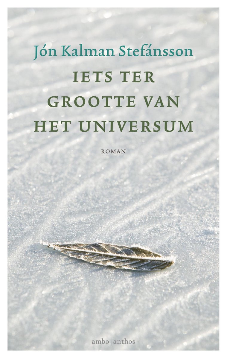 Iets ter grootte van het universum