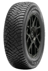 Falken WINTERPEAK F-ICE 1 ( 175/65 R15 88T XL, met spikes ) - Zwart