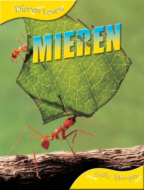 Mieren