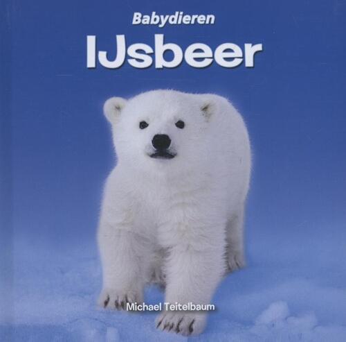 IJsbeer