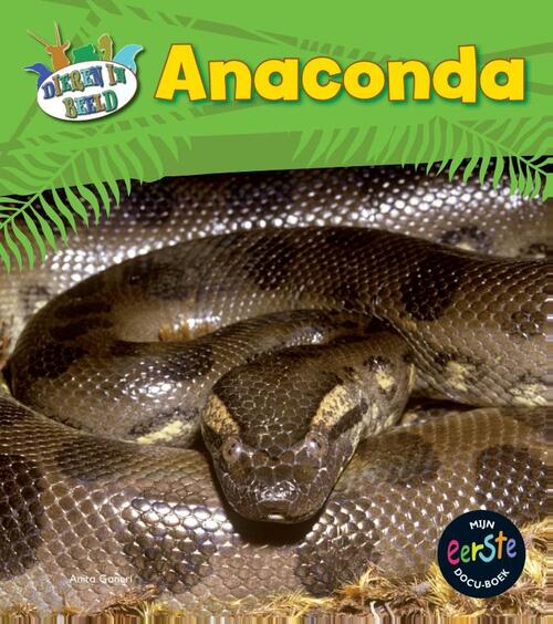 Anaconda