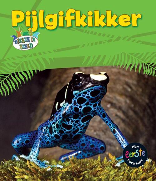 Pijlgifkikker