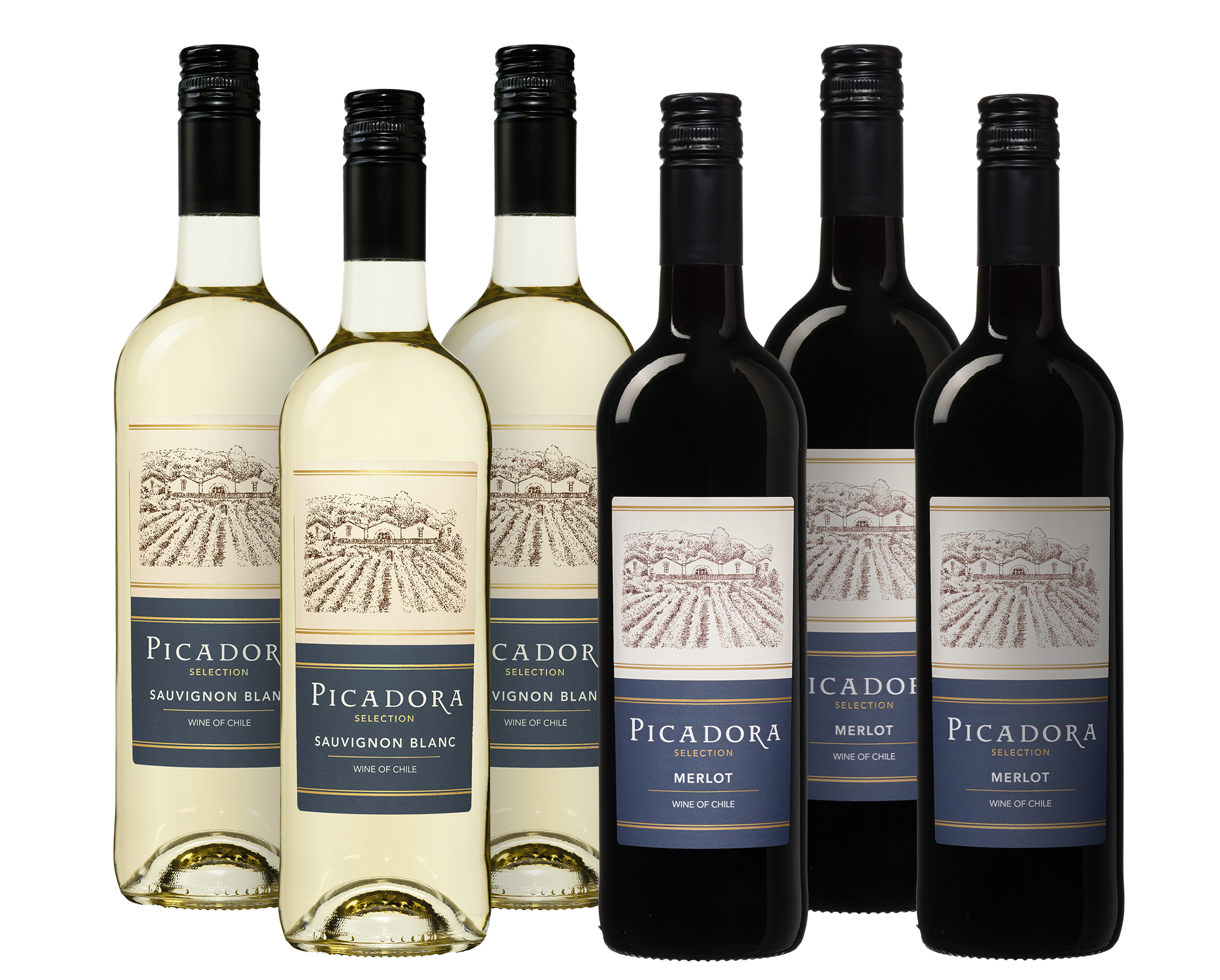 Wijnvoordeel Wijnpakket Picadora Sauvignon Blanc & Merlot
