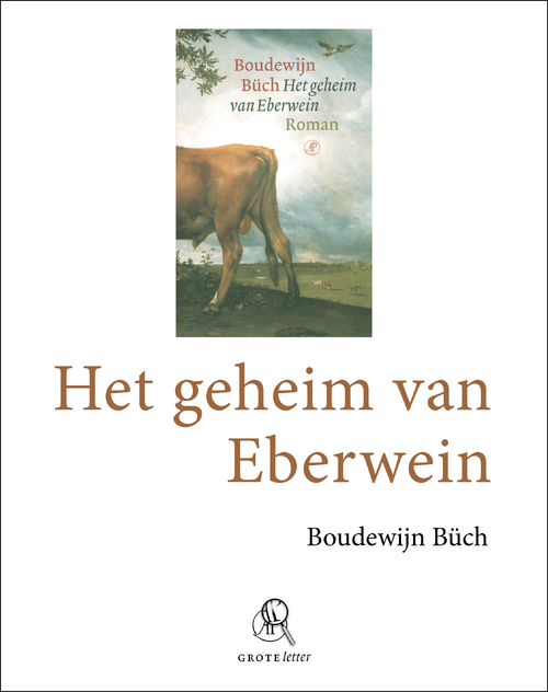 Het geheim van Eberwein (grote letter) - POD editie