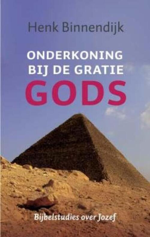 Voorhoeve Onderkoning bij de gratie Gods