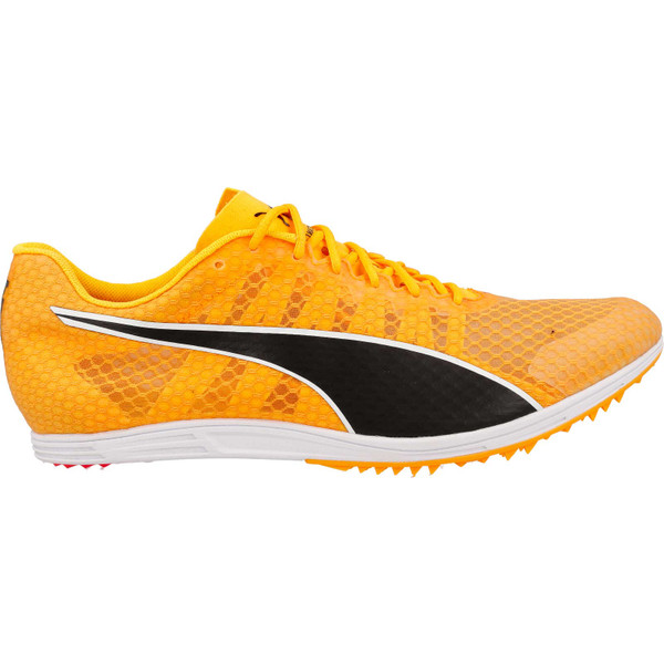 Puma evoSPEED Distance 11 Heren