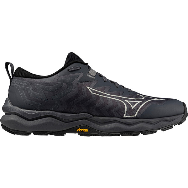 Mizuno Wave Daichi 8 GTX Dames - Zwart