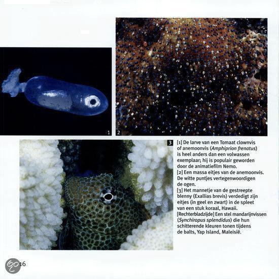 Vissen en walvissen - 1001 foto's