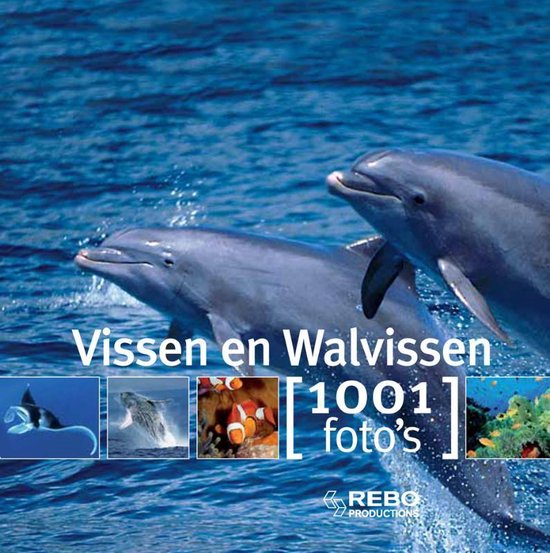 Vissen en walvissen - 1001 foto&apos;s