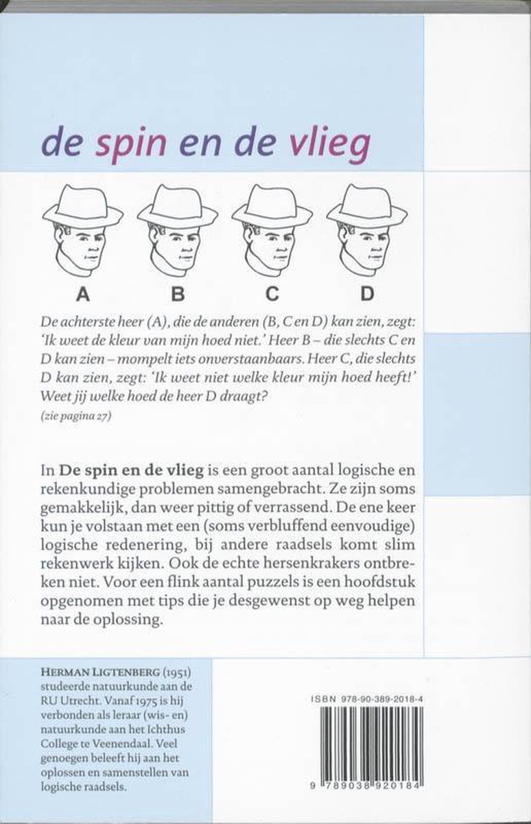 De spin en de vlieg