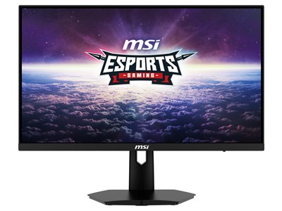 MSI G244F - 23.8"