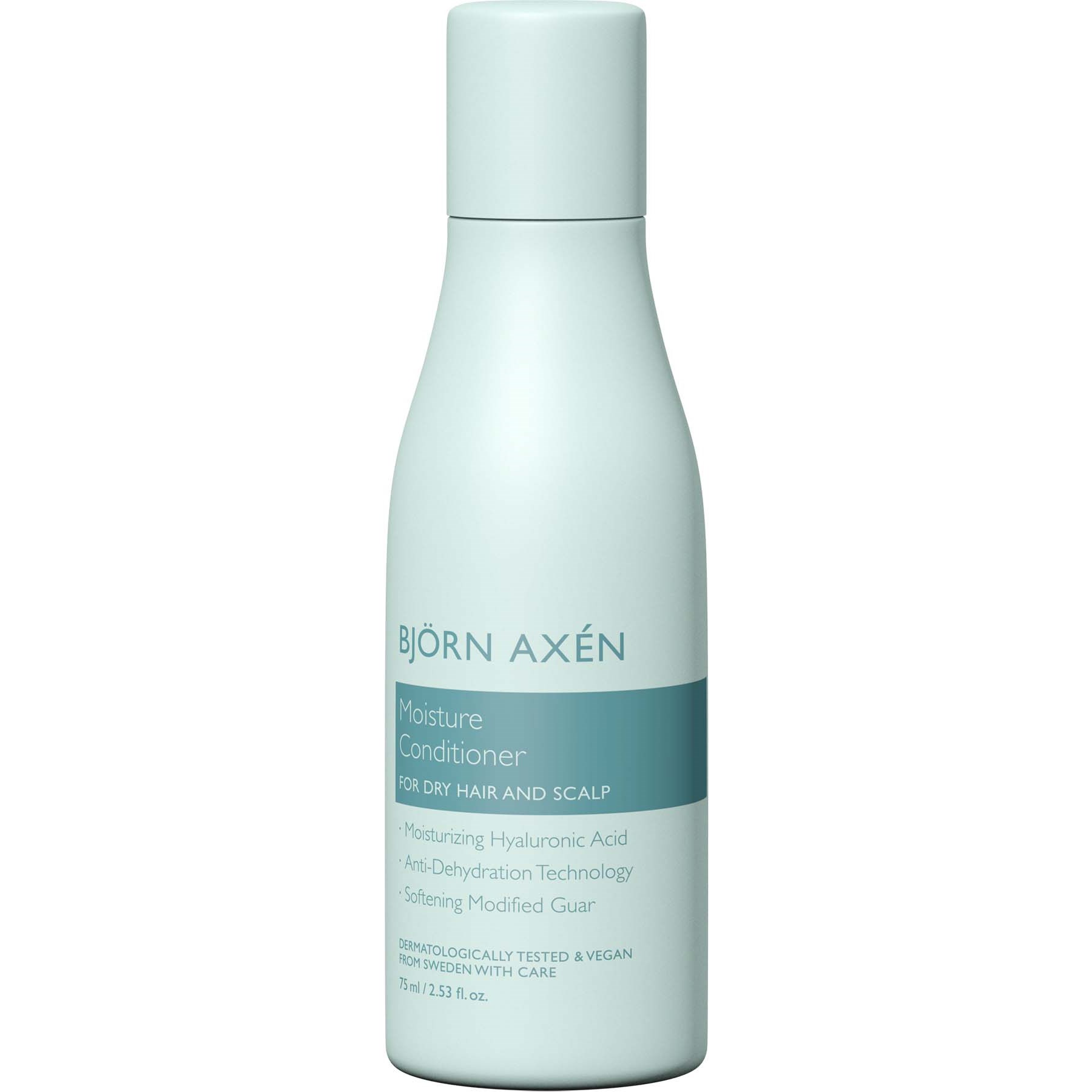 Björn Axen Moisture Moisture Conditioner Travel Size 75 ml 75 ml