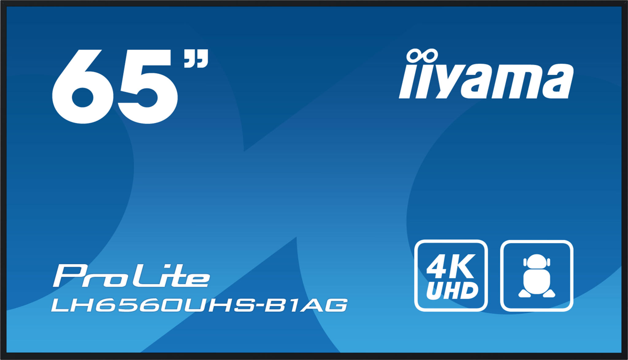 iiyama ProLite LH6560UHS-B1AG monitor