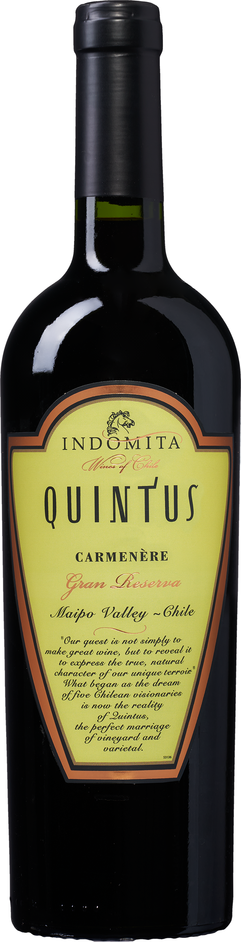 Wijnvoordeel Quintus Gran Reserva Carménère - Rood